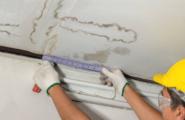 Reliable Mold Remediation contractor in Kingston, RI by Local Water Damage Repair